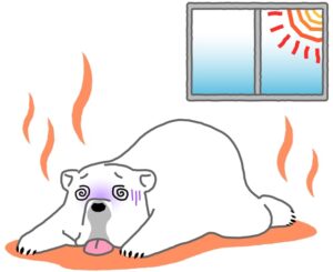 窓の暑さ対策はどうしたらよい？効果的な方法を解説